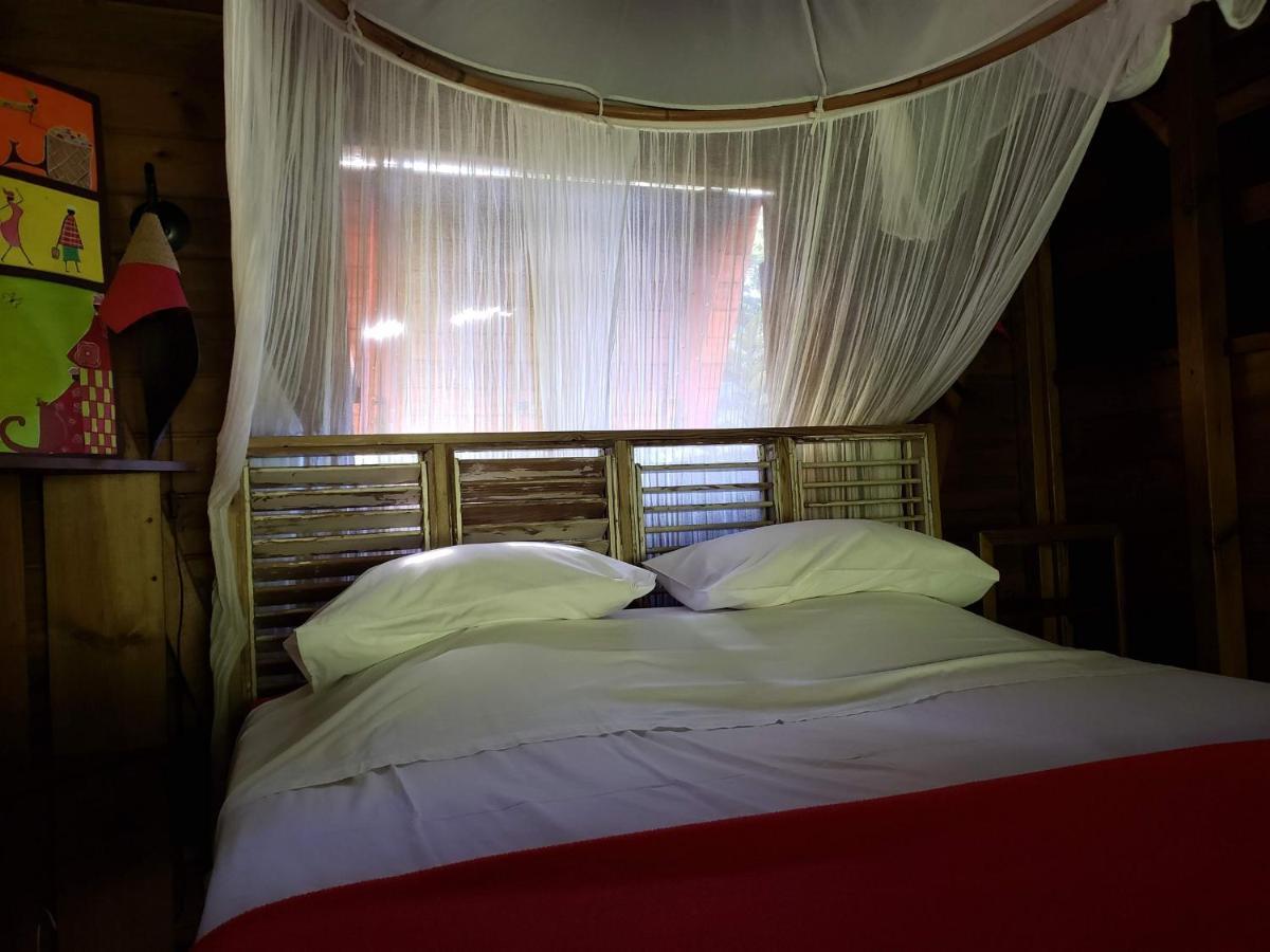 Les Bananes Vertes Ecolodges Saint-Claude Exteriör bild