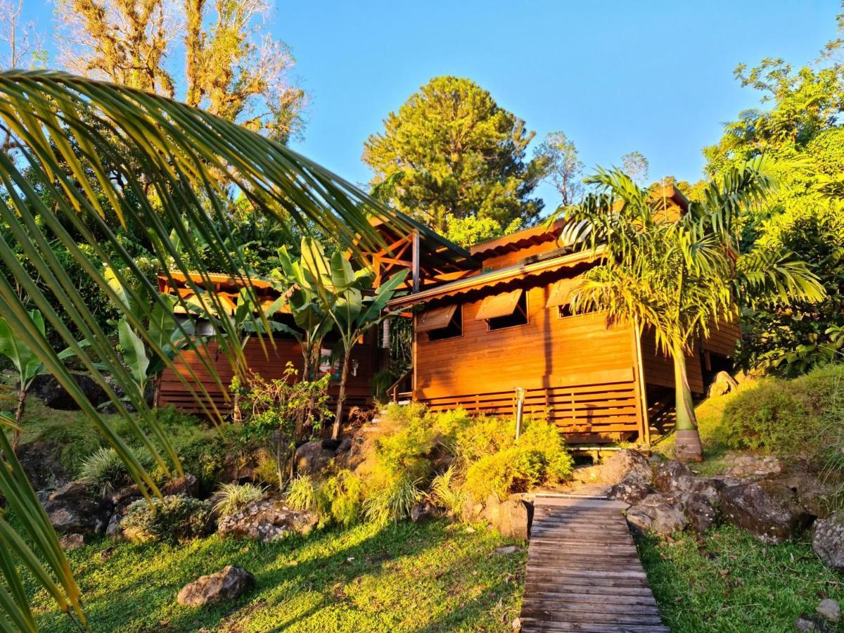 Les Bananes Vertes Ecolodges Saint-Claude Exteriör bild
