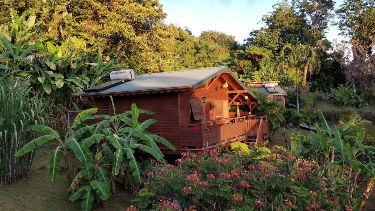 Les Bananes Vertes Ecolodges Saint-Claude Exteriör bild