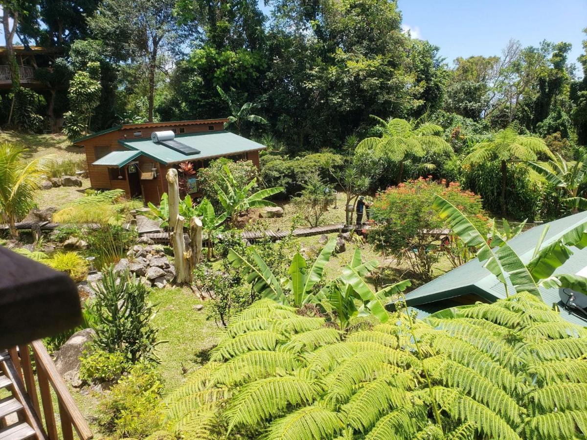 Les Bananes Vertes Ecolodges Saint-Claude Exteriör bild