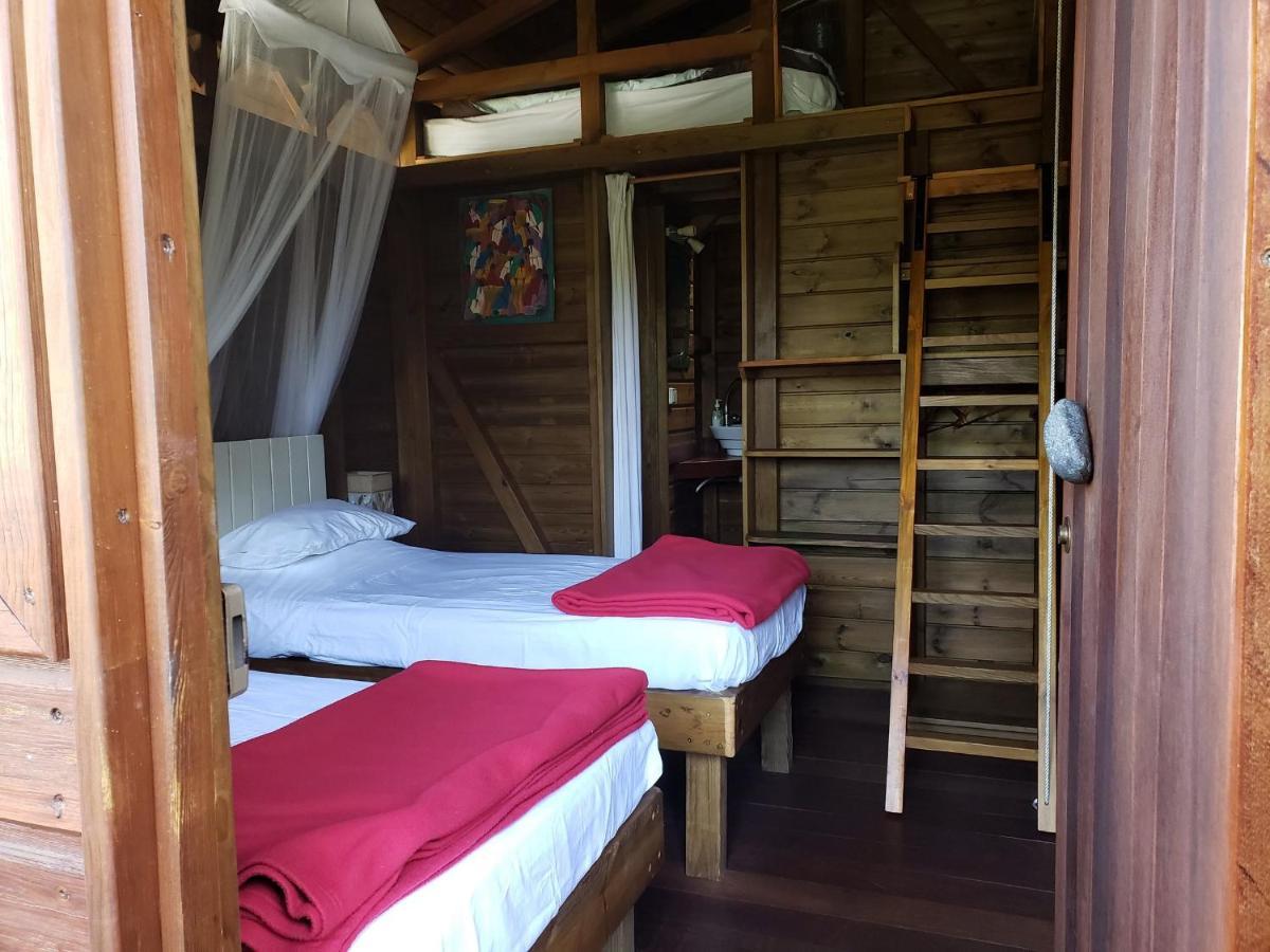 Les Bananes Vertes Ecolodges Saint-Claude Exteriör bild