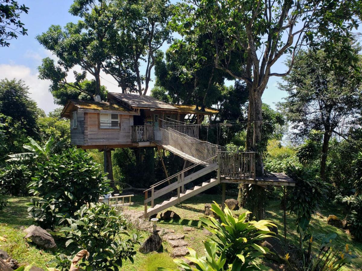 Les Bananes Vertes Ecolodges Saint-Claude Exteriör bild