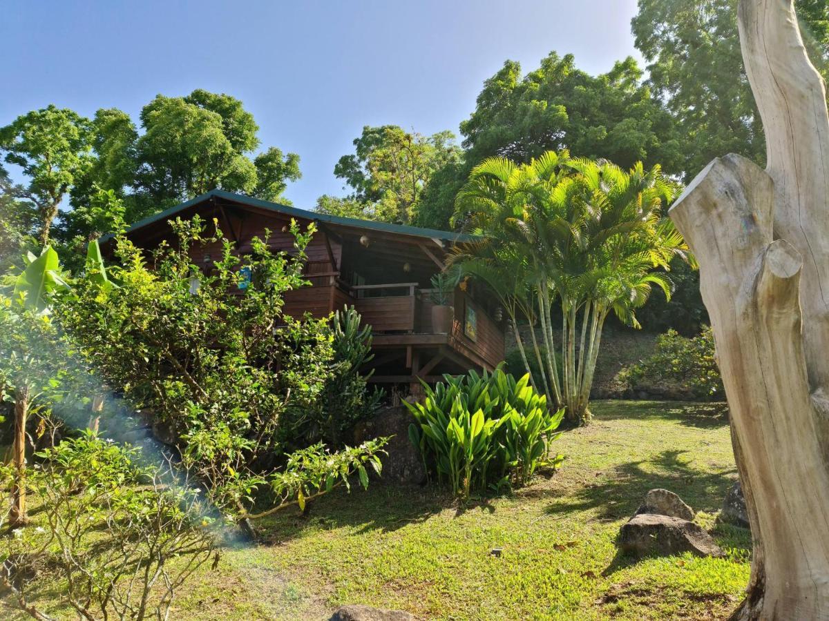 Les Bananes Vertes Ecolodges Saint-Claude Exteriör bild