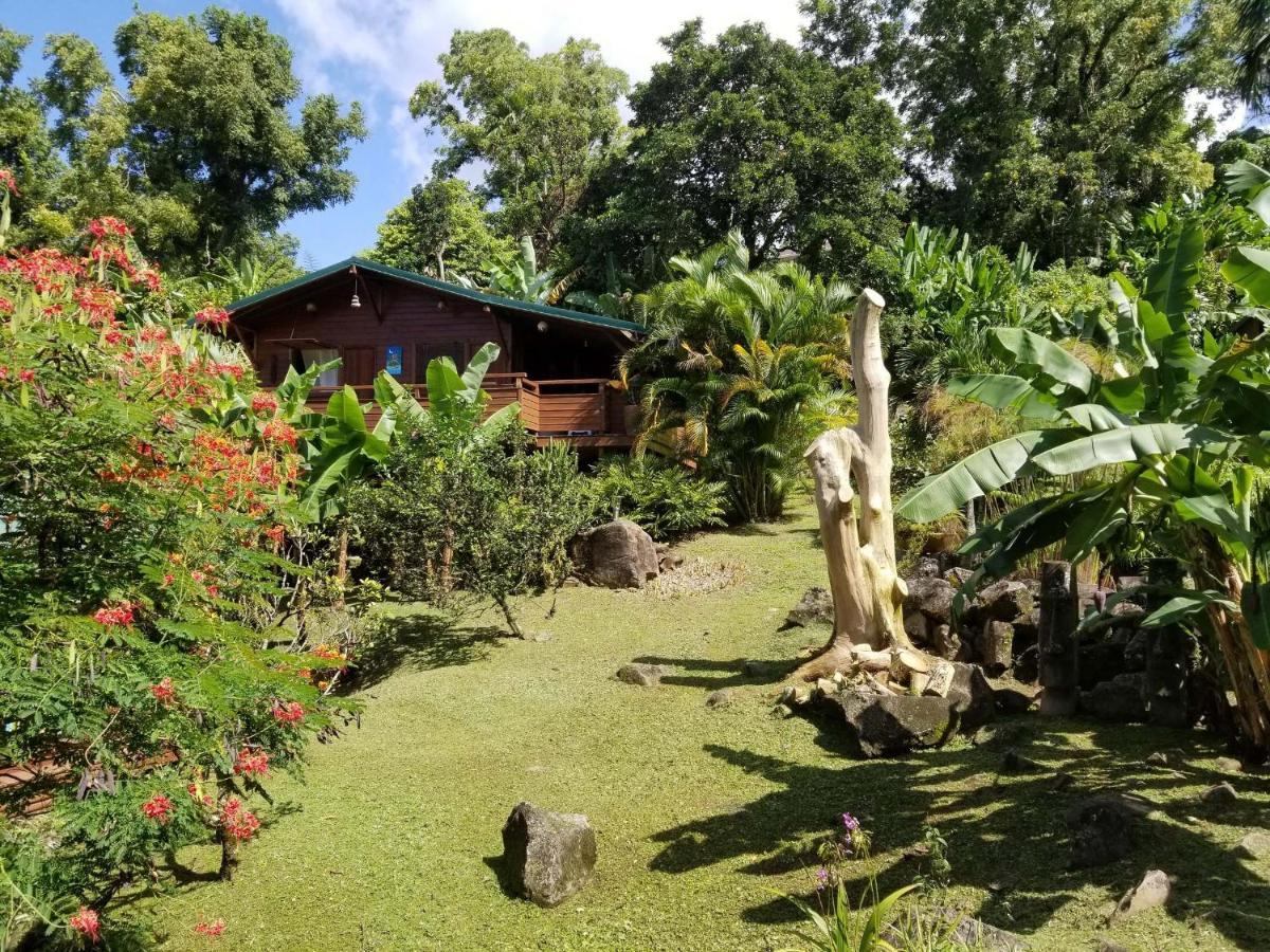 Les Bananes Vertes Ecolodges Saint-Claude Exteriör bild