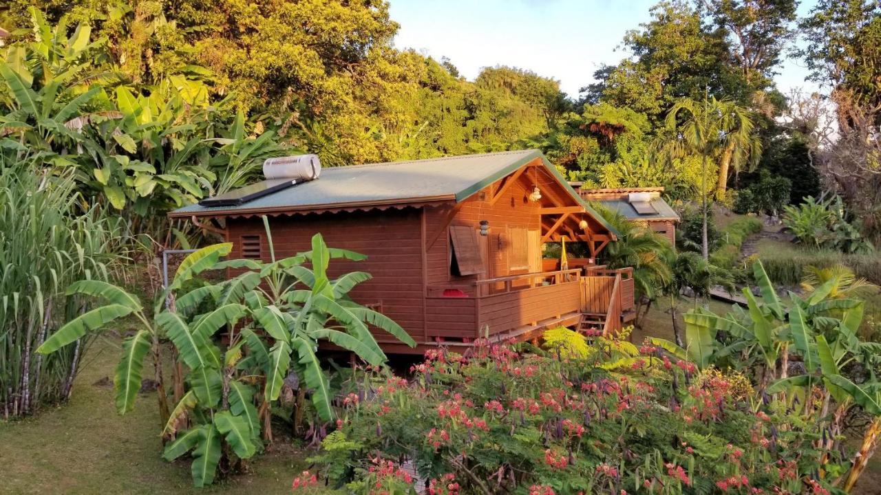 Les Bananes Vertes Ecolodges Saint-Claude Exteriör bild