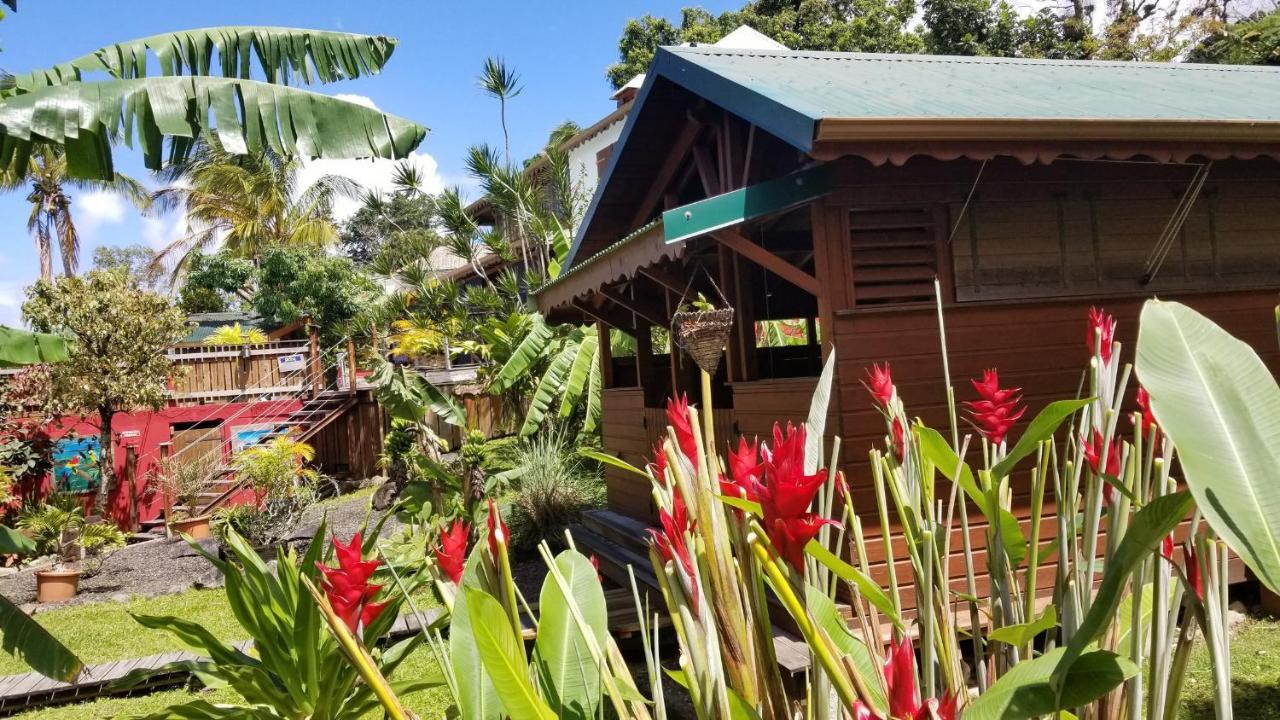 Les Bananes Vertes Ecolodges Saint-Claude Exteriör bild