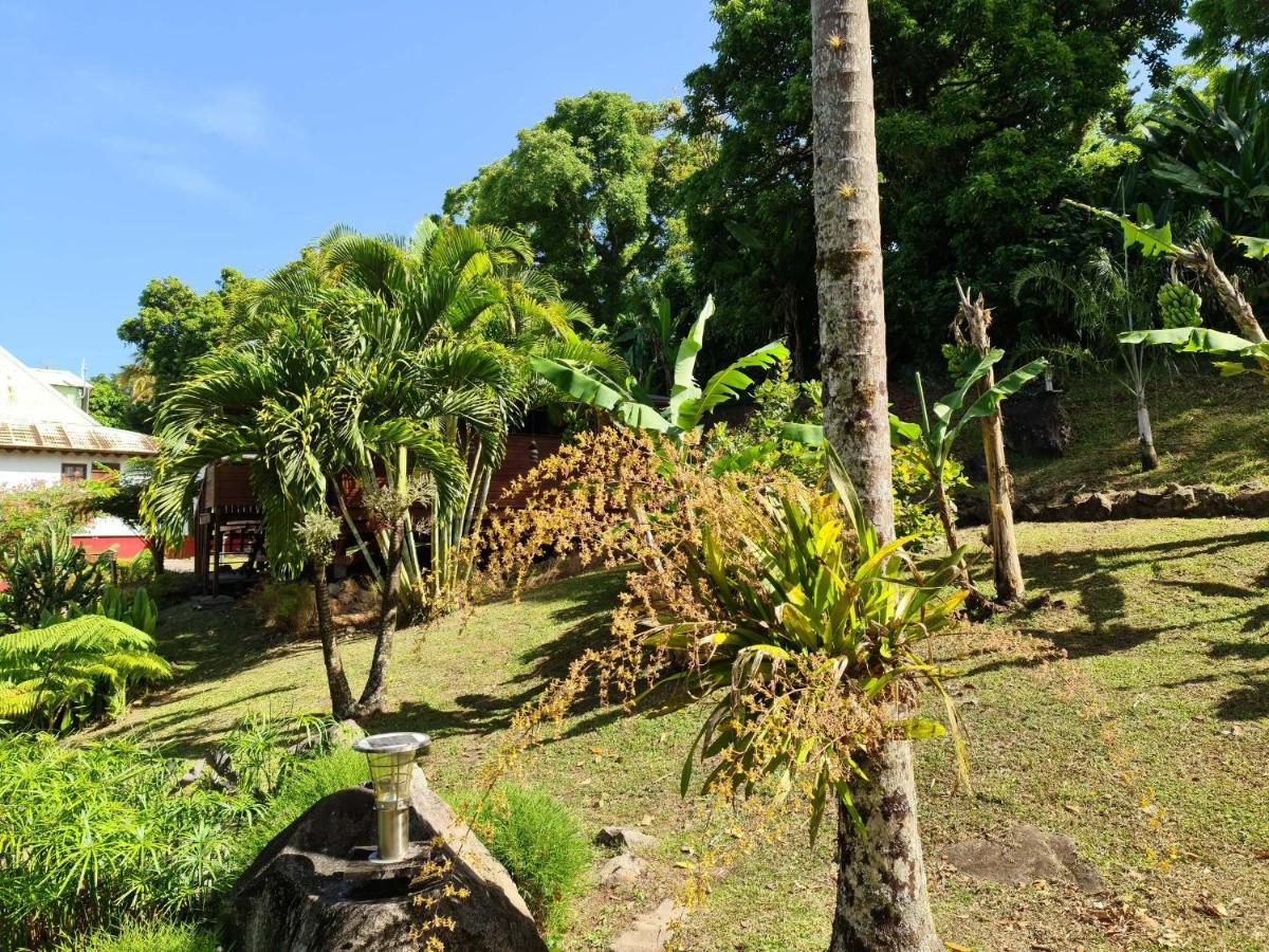 Les Bananes Vertes Ecolodges Saint-Claude Exteriör bild