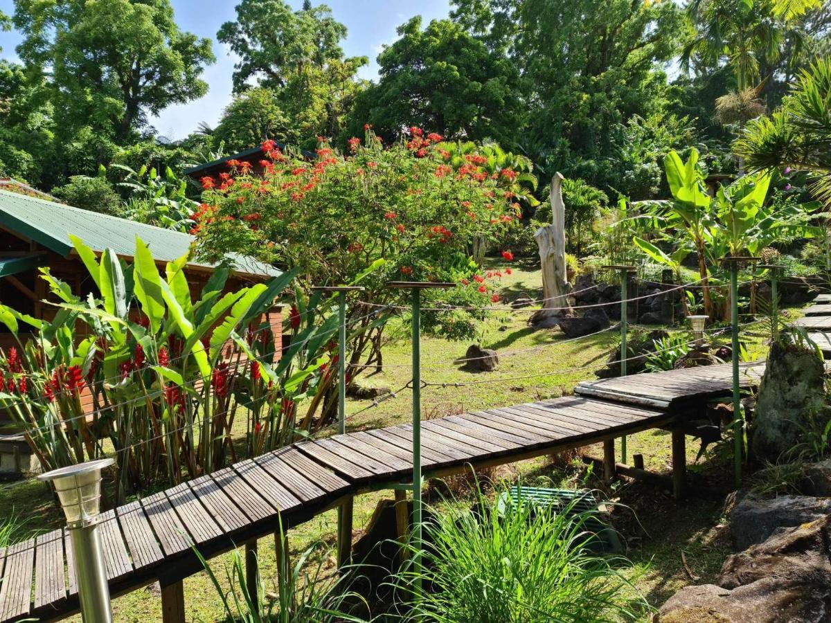Les Bananes Vertes Ecolodges Saint-Claude Exteriör bild