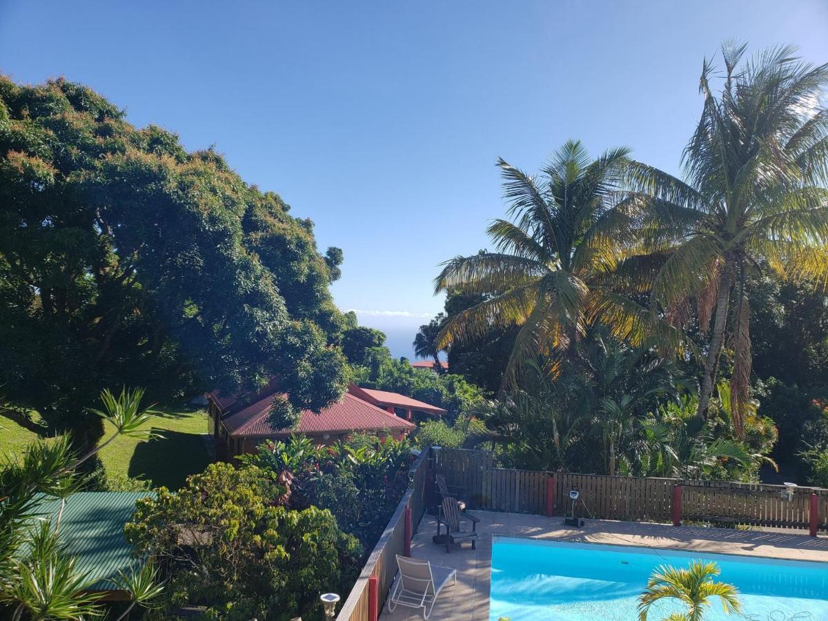 Les Bananes Vertes Ecolodges Saint-Claude Exteriör bild