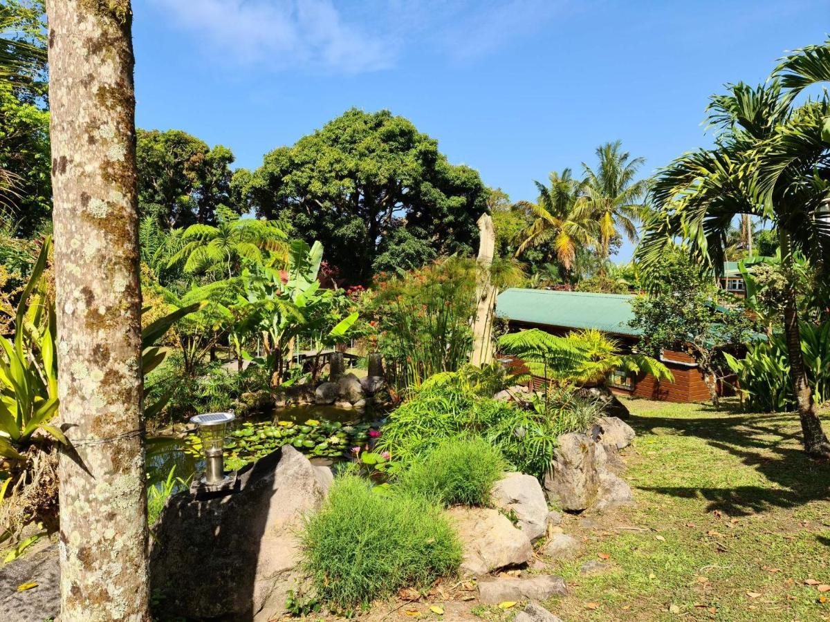 Les Bananes Vertes Ecolodges Saint-Claude Exteriör bild