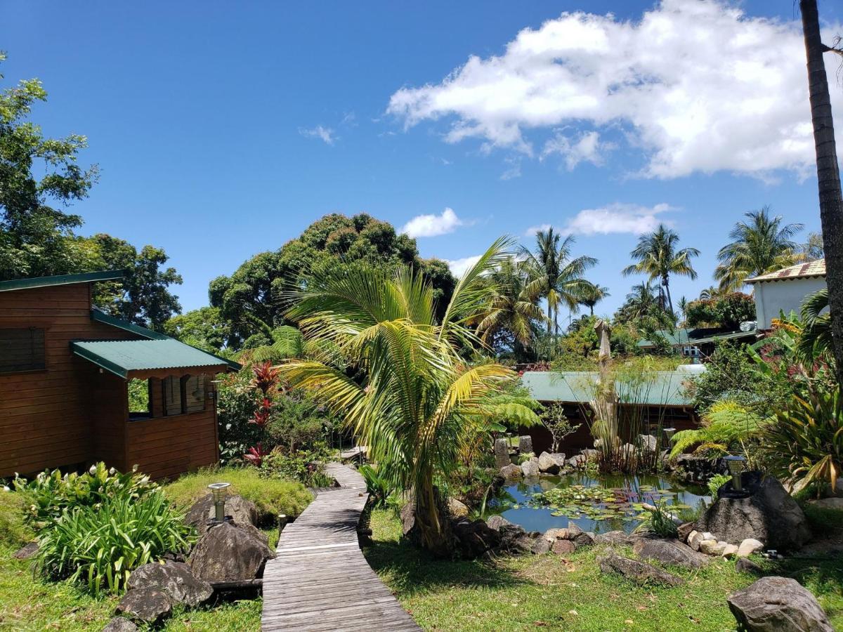 Les Bananes Vertes Ecolodges Saint-Claude Exteriör bild