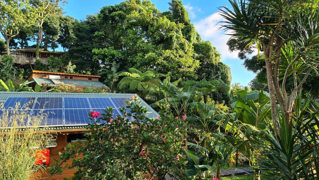 Les Bananes Vertes Ecolodges Saint-Claude Exteriör bild