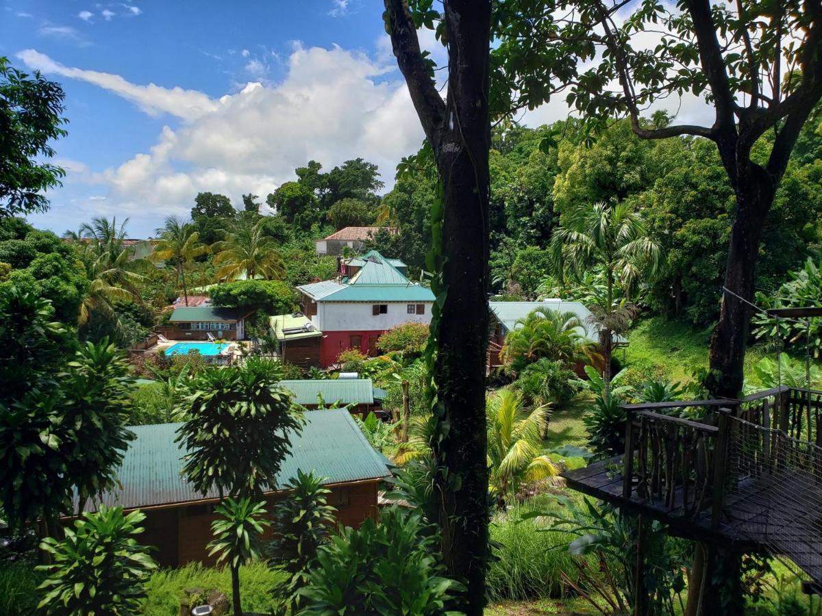Les Bananes Vertes Ecolodges Saint-Claude Exteriör bild